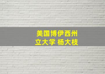 美国博伊西州立大学 杨大枝